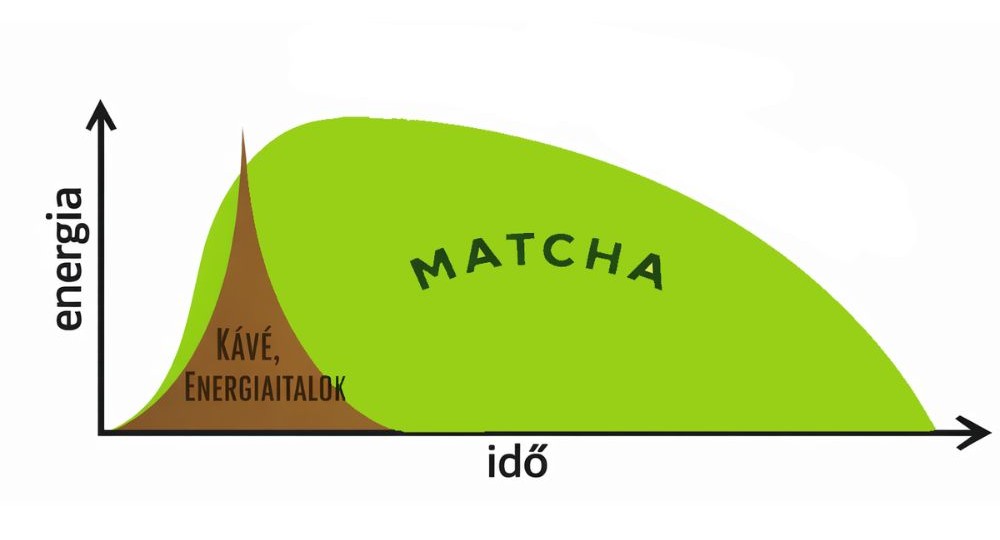 Grafikon a kávé gyors energiacsúcsáról és a Matcha tartós, elhúzódó energiaszintjéről az idő függvényében