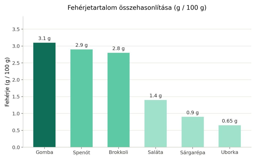 Oszlopdiagram a fehérjetartalom összehasonlításáról (g/100g): gomba 3,1g, spenót 2,9g, brokkoli 2,8g, saláta 1,4g, sárgarépa 0,9g, uborka 0,65g