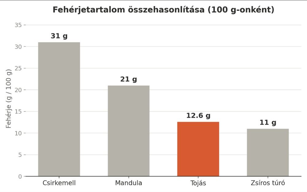Oszlopdiagram a fehérjetartalom összehasonlításáról 100 g-onként: csirkemell 31 g, mandula 21 g, tojás 12,6 g, zsíros túró 11 g